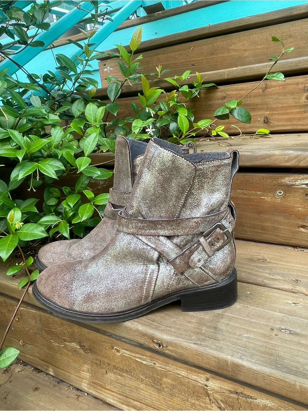 Seychelles Metallic Brown/Silver Buckle Ankle Boots